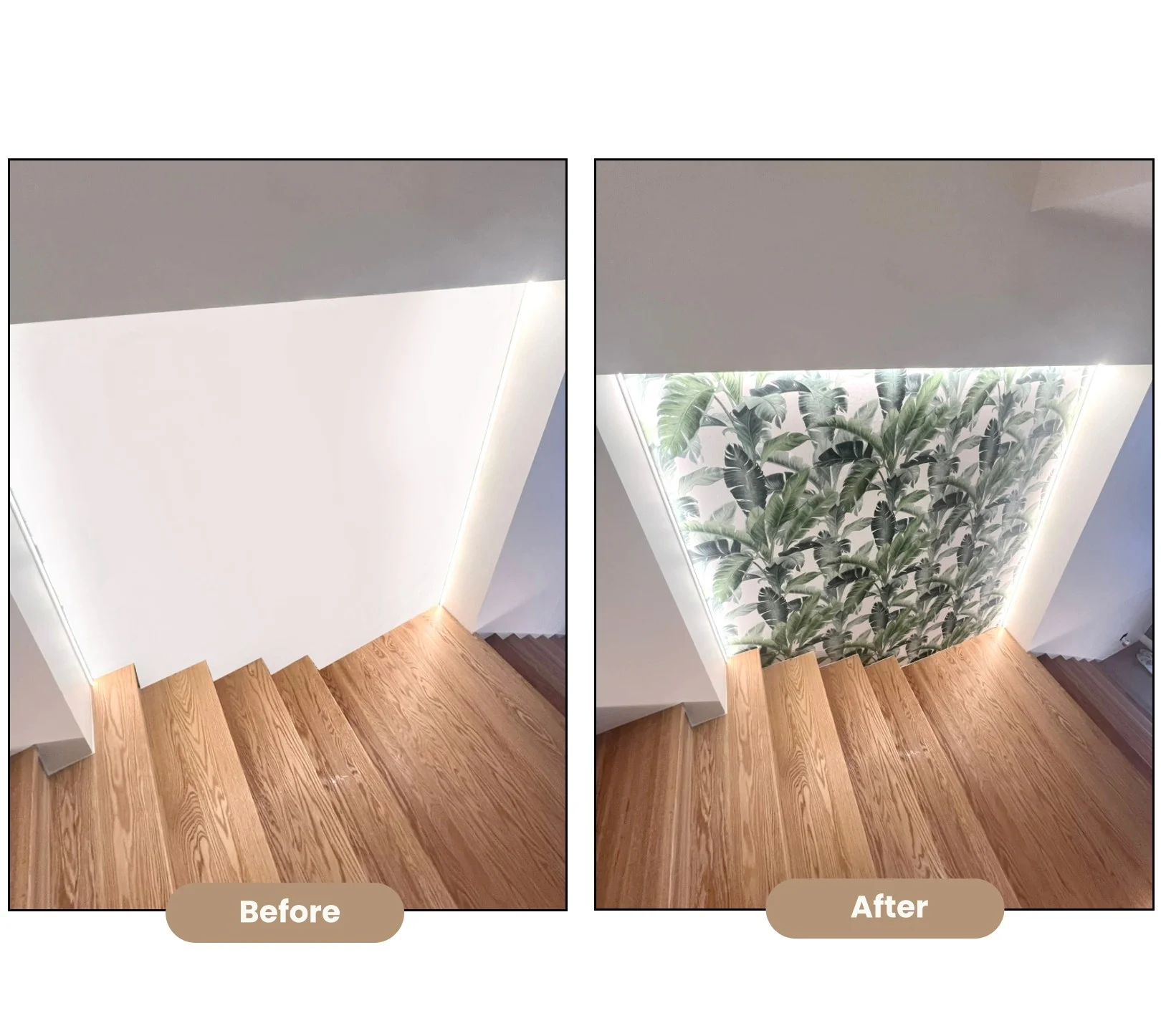 Tropical Wallpaper Makover for Room Space